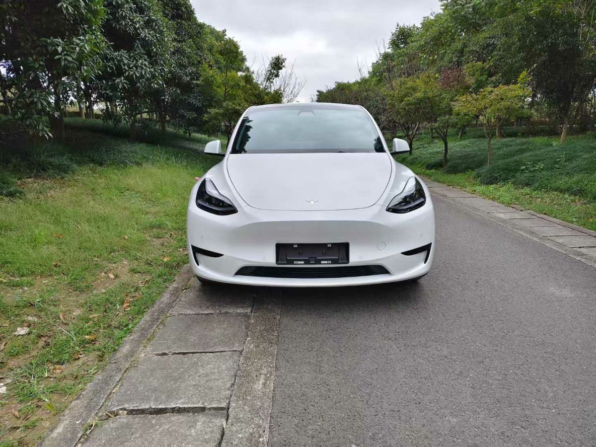 特斯拉 Model 3  2022款 Performance高性能全輪驅(qū)動版圖片