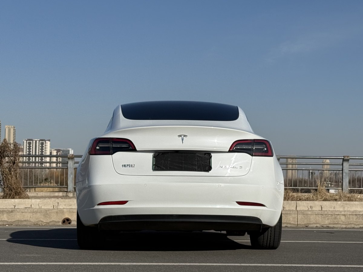 特斯拉 Model 3  2019款 標(biāo)準(zhǔn)續(xù)航后驅(qū)升級版圖片