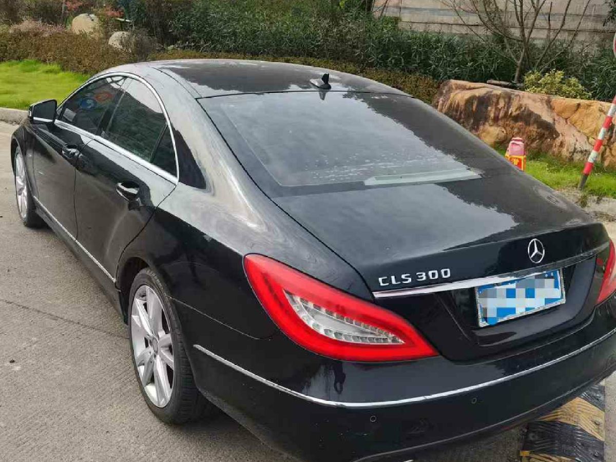 奔馳 奔馳CLS級(jí)  2013款 CLS 350 獵裝時(shí)尚型圖片