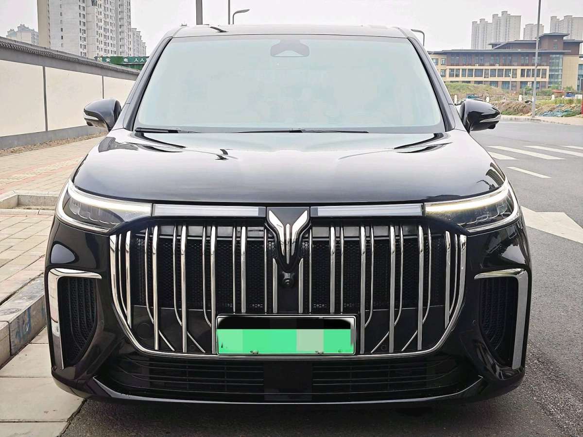 嵐圖 夢想家  2024款 PHEV 超長續(xù)航旗艦版圖片