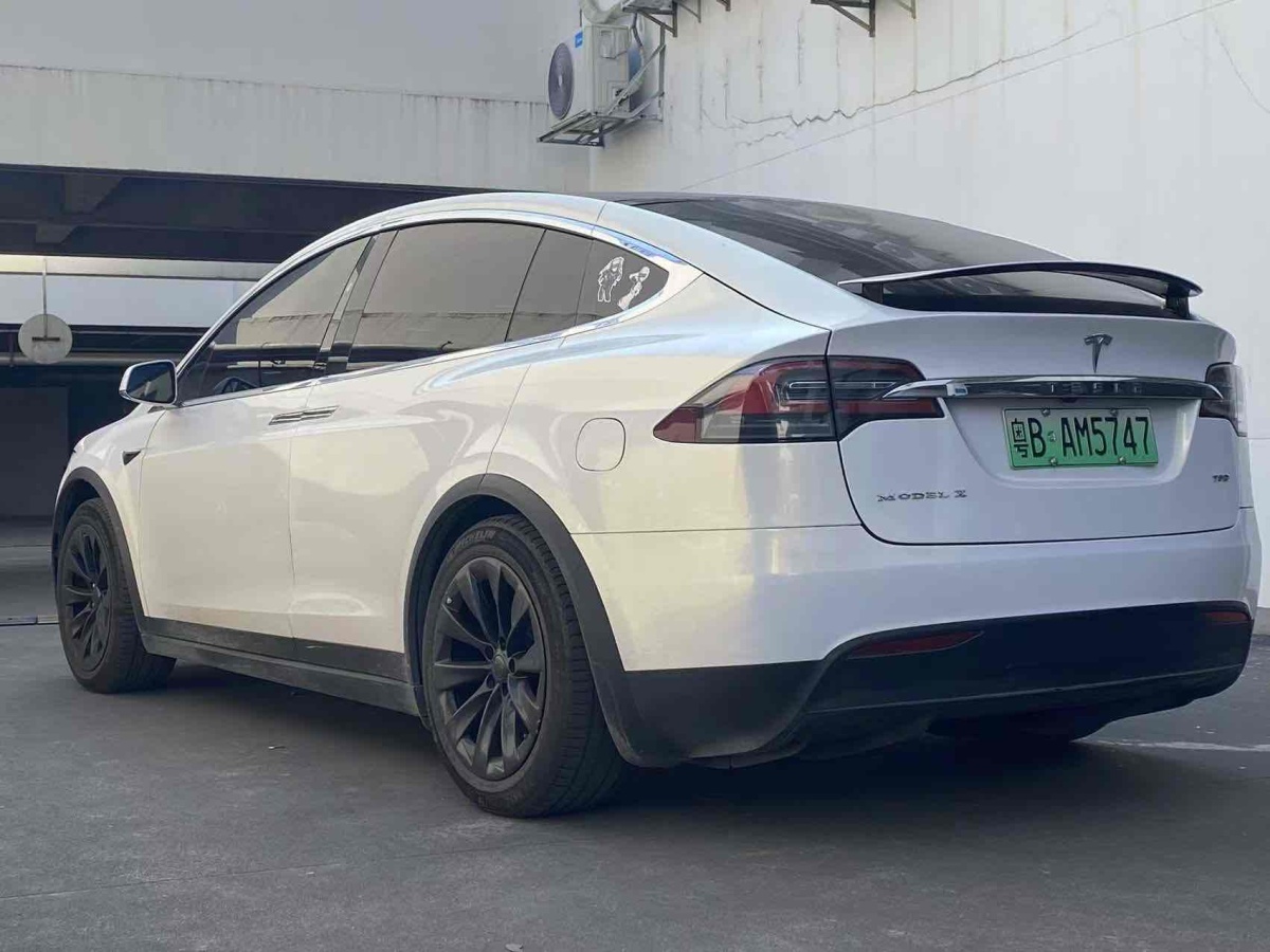 特斯拉 Model X  2017款 Model X 100D 長續(xù)航版圖片