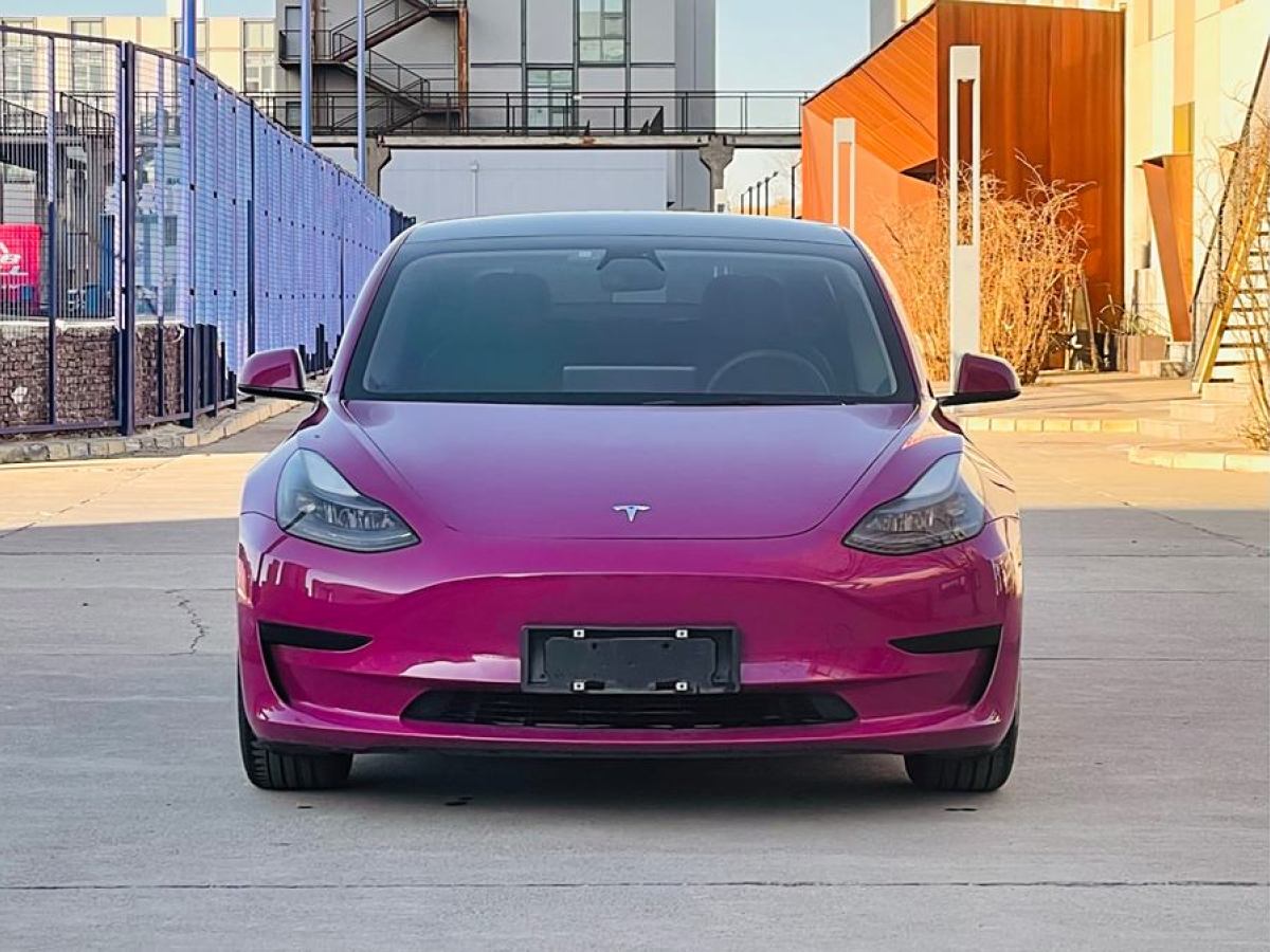 特斯拉 Model 3  2021款 標(biāo)準(zhǔn)續(xù)航后驅(qū)升級版 3D6圖片