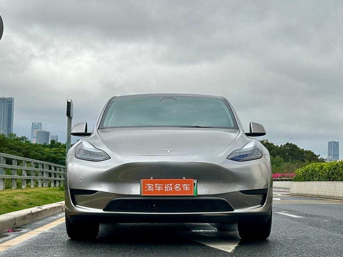 特斯拉 Model 3  2020款 改款 長續(xù)航后輪驅動版圖片