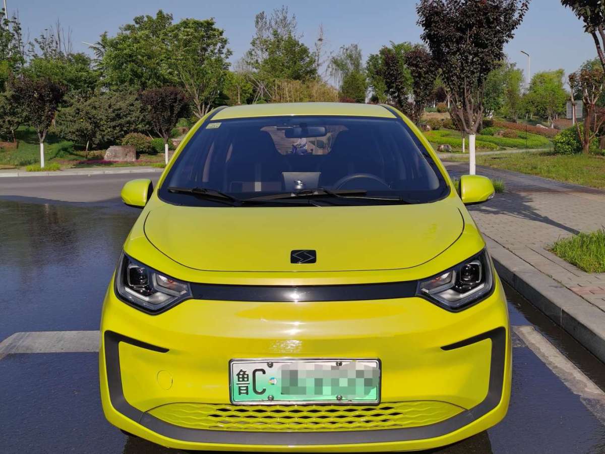 思皓 思皓E10X  2021款 200km 經(jīng)典型圖片