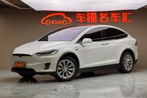 Model X 特斯拉 Model X 100D 長續(xù)航版