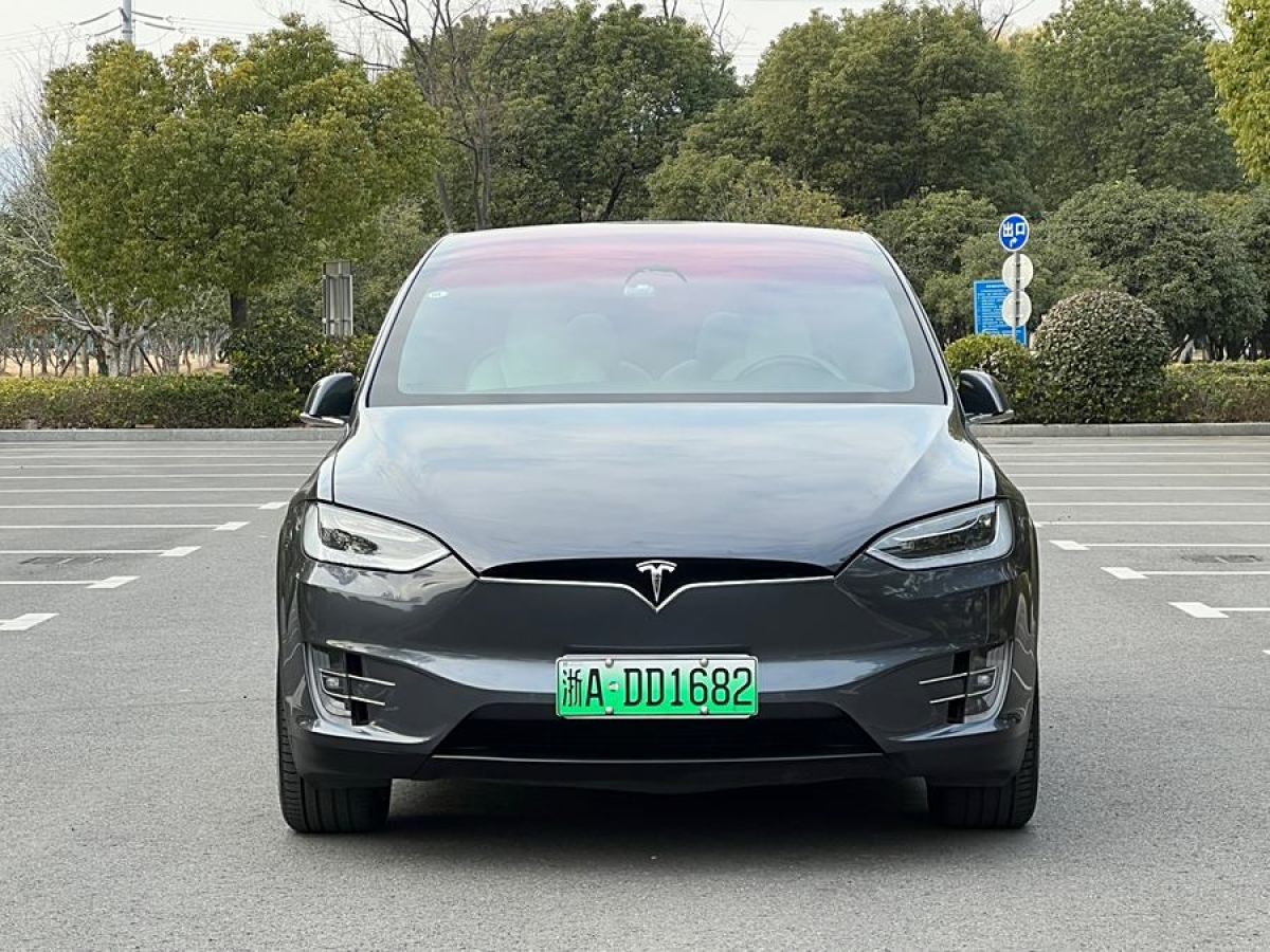 特斯拉 Model X  2017款 Model X 100D 長續(xù)航版圖片