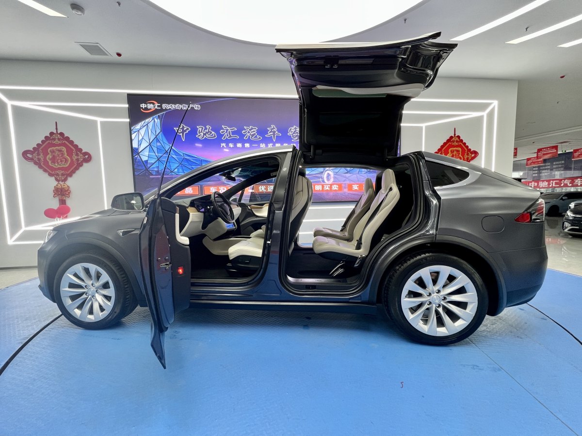 2019年10月特斯拉 Model X  2019款 长续航版