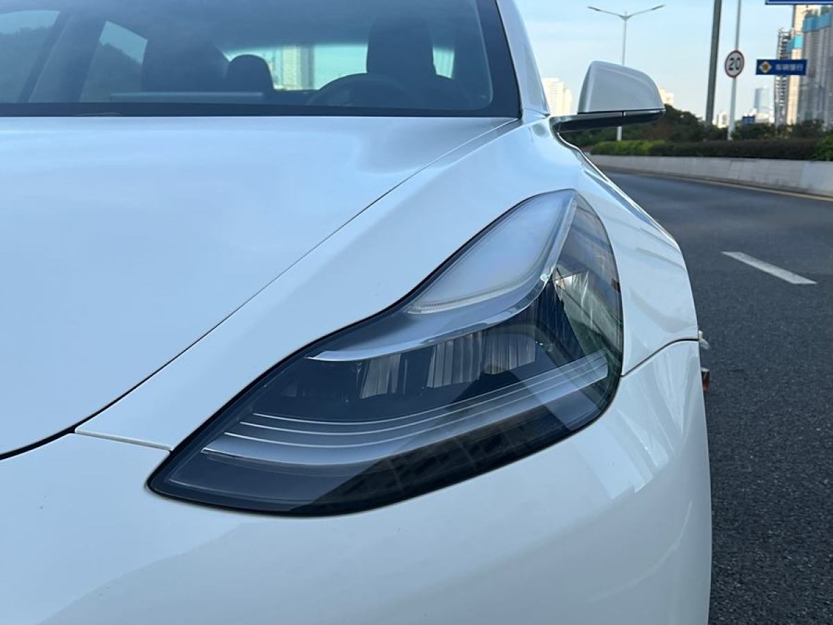 2019年10月特斯拉 Model 3  2019款 長續(xù)航全輪驅動版