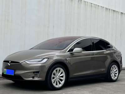 2016年12月 特斯拉 Model X Model X 75D圖片