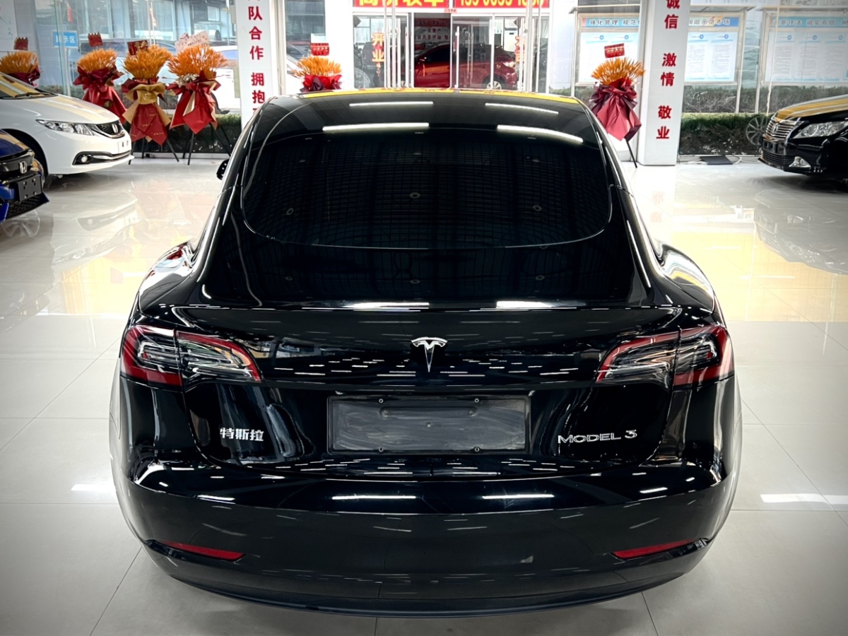 特斯拉 Model 3  2022款 后輪驅(qū)動(dòng)版圖片