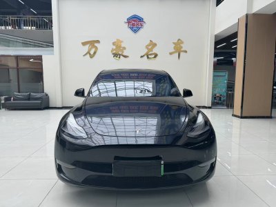 2022年3月 特斯拉 Model Y 長續(xù)航全輪驅(qū)動版 3D7圖片