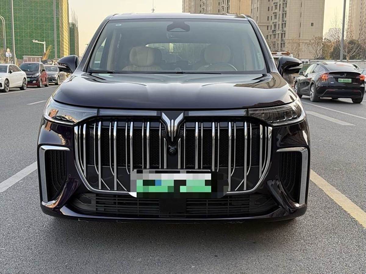 嵐圖 夢(mèng)想家  2024款 PHEV 超長(zhǎng)續(xù)航旗艦版圖片