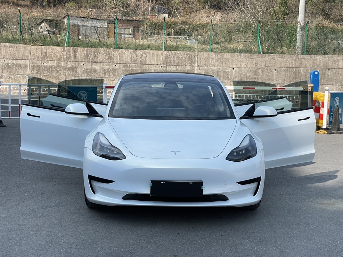 特斯拉 Model 3  2021款 標(biāo)準(zhǔn)續(xù)航后驅(qū)升級(jí)版圖片