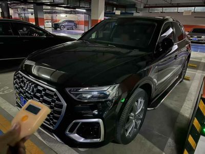 2022年1月 奥迪 奥迪Q5 e-tron 40 e-tron 星耀型 机甲套装图片