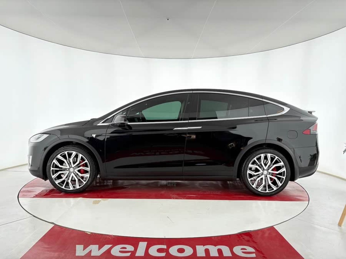 特斯拉 Model X  2019款 Performance 高性能版圖片
