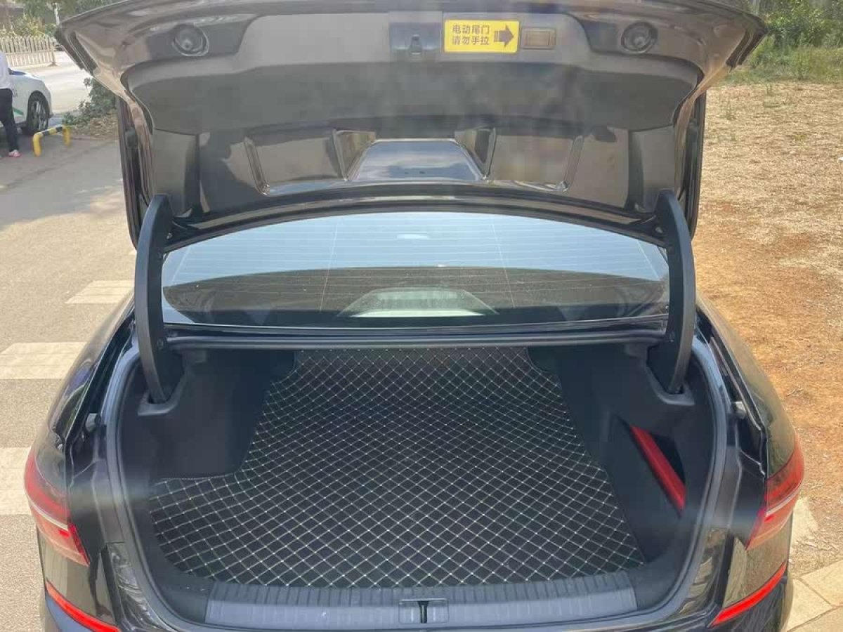 大眾 帕薩特  2022款 330TSI 豪華版圖片