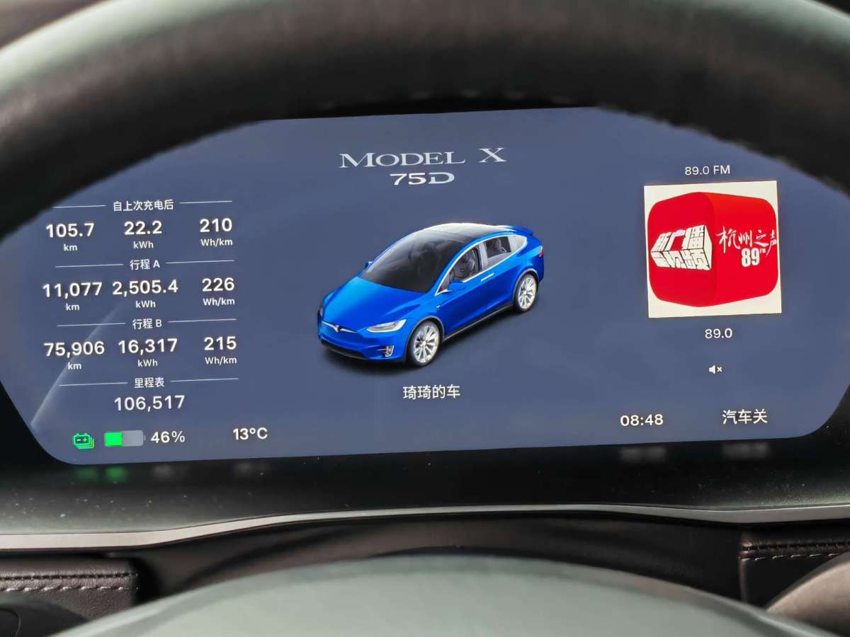 特斯拉 Model X  2019款 長續(xù)航版圖片