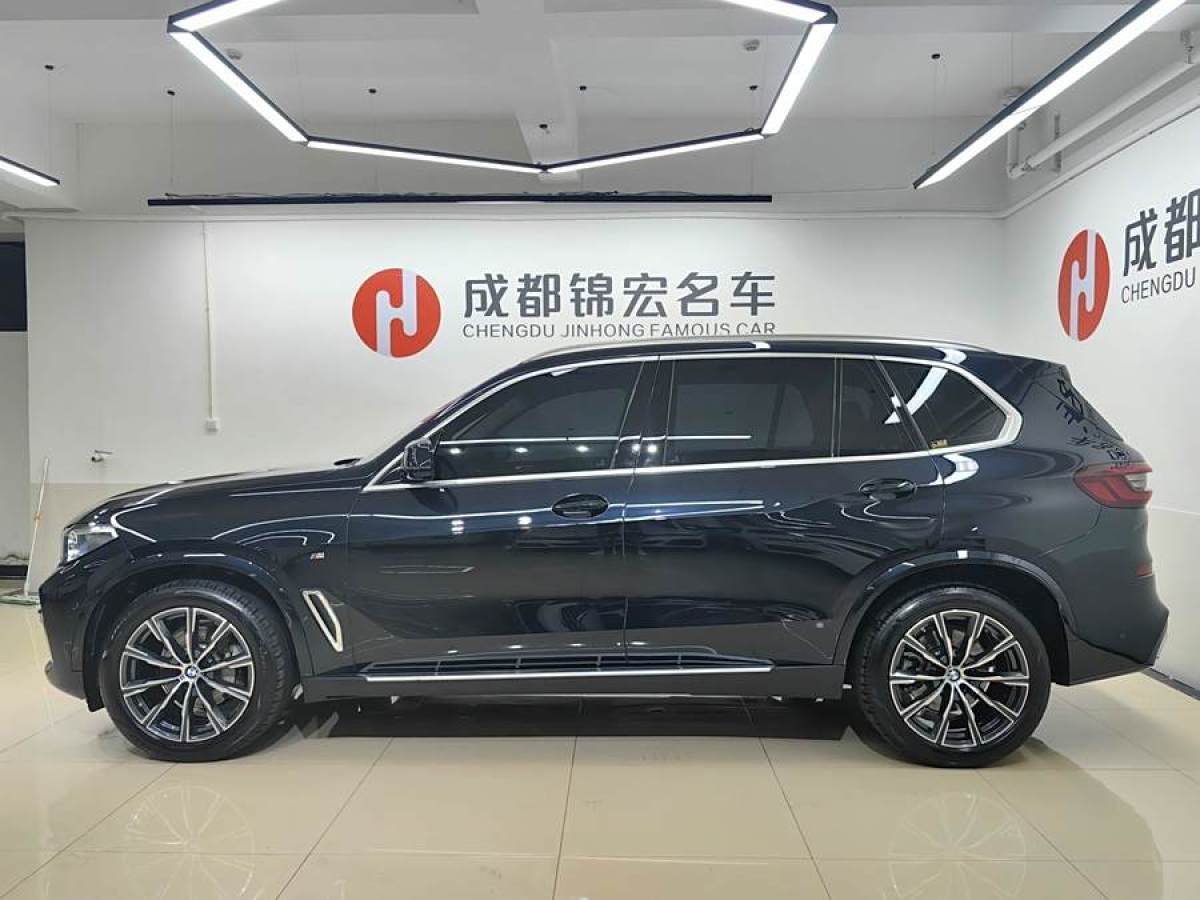 寶馬 寶馬X5  2023款 xDrive 30Li 尊享型M運(yùn)動(dòng)套裝圖片