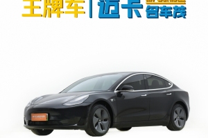 Model 3 特斯拉 標(biāo)準(zhǔn)續(xù)航后驅(qū)升級(jí)版