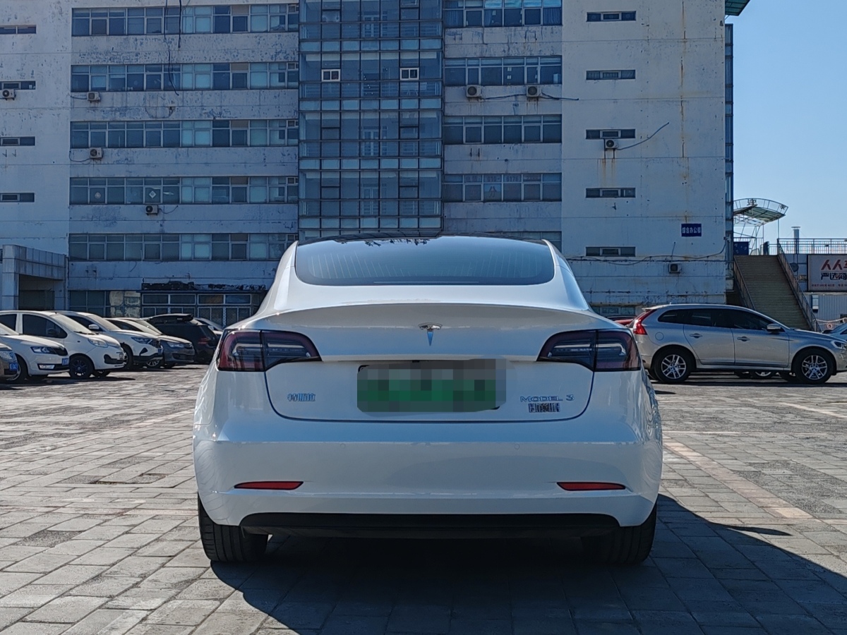 特斯拉 Model 3  2020款 改款 長續(xù)航后輪驅(qū)動版圖片