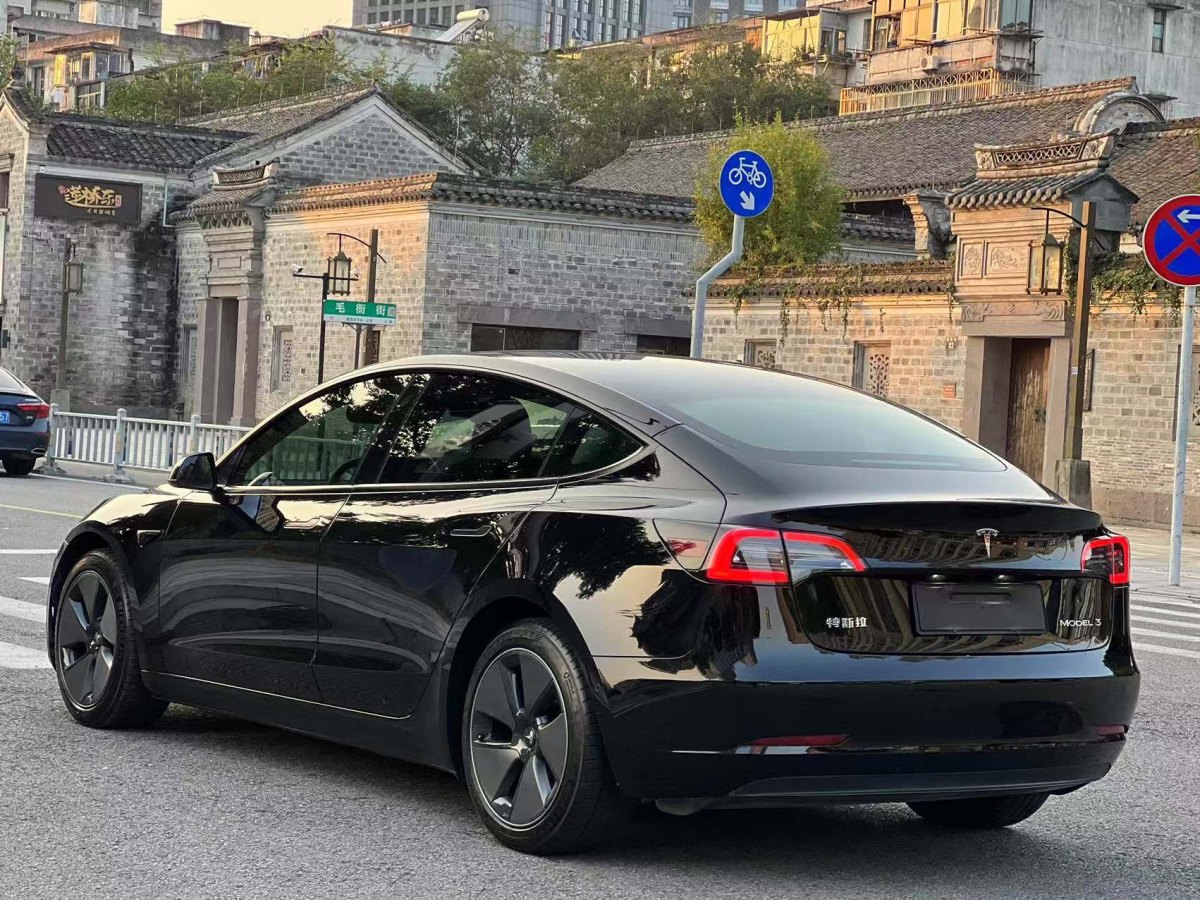 特斯拉 Model 3  2021款 標(biāo)準(zhǔn)續(xù)航后驅(qū)升級(jí)版 3D6圖片