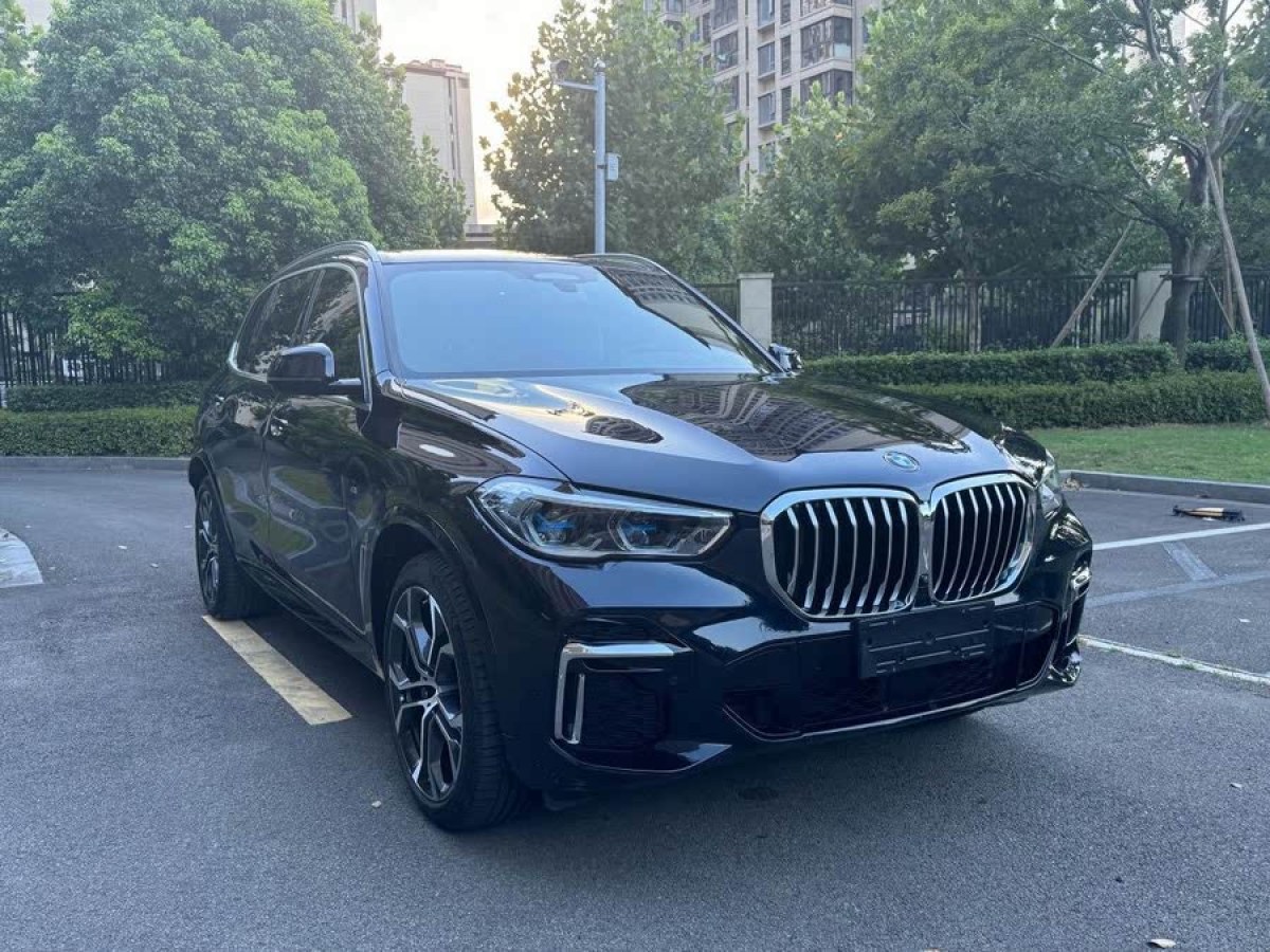 寶馬 寶馬X5  2022款 改款 xDrive 40Li 尊享型M運(yùn)動套裝圖片