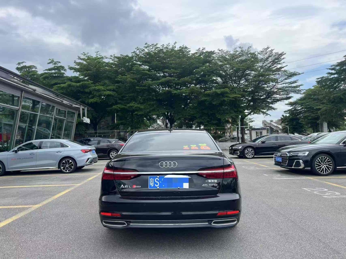 奧迪 奧迪A6L  2019款 45 TFSI 臻選致雅型圖片