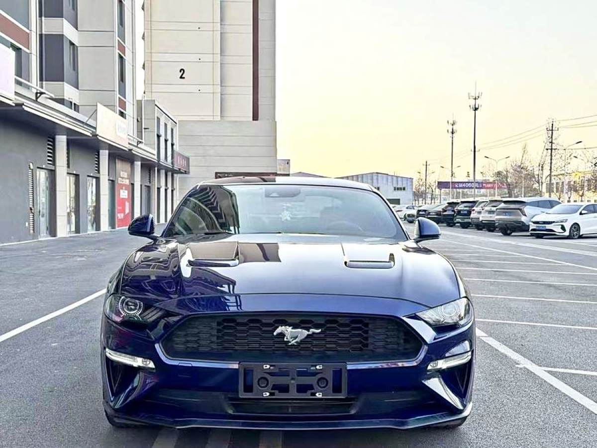 福特 Mustang  2019款 2.3L EcoBoost圖片