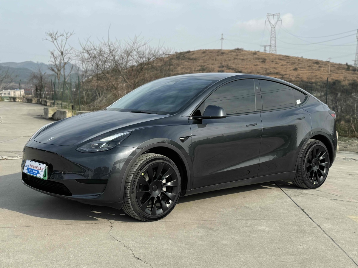 特斯拉 Model Y  2024款 后輪驅(qū)動(dòng)版圖片