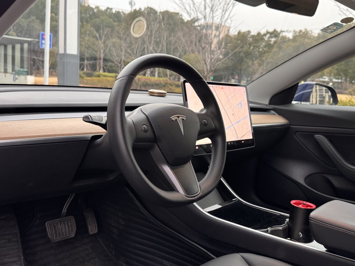 特斯拉 Model 3  2019款 標(biāo)準(zhǔn)續(xù)航后驅(qū)升級版圖片