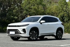 星途LX 星途 乘風破浪版 1.5T CVT乘風起版