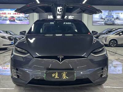 2017年2月 特斯拉 Model X Model X 90D圖片