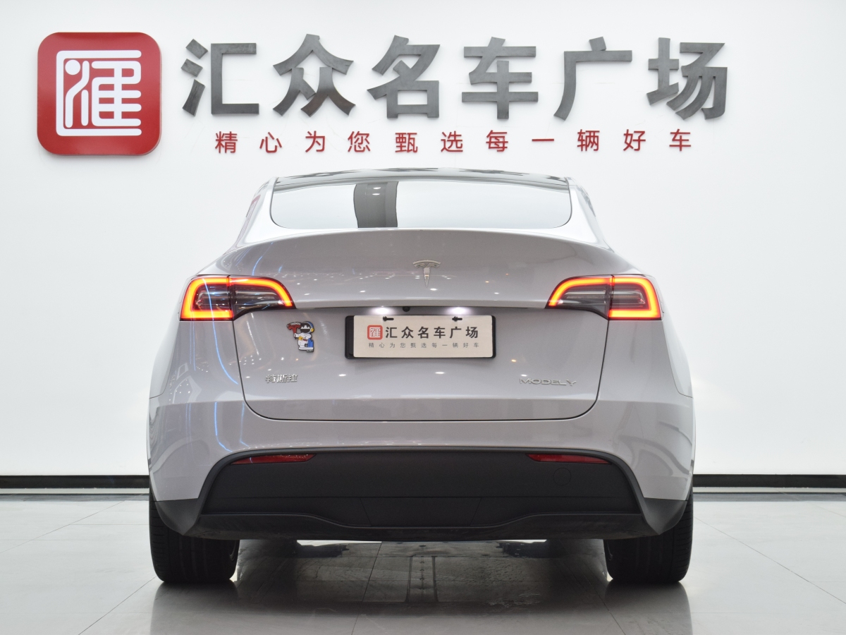 特斯拉 Model Y  2020款 改款 長續(xù)航后輪驅(qū)動(dòng)版圖片