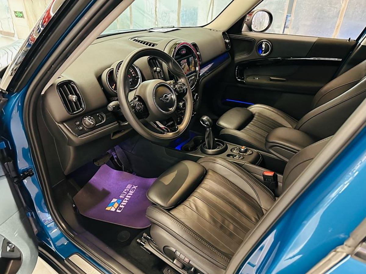 MINI COUNTRYMAN  2019款 2.0T COOPER S ALL4 藝術家圖片