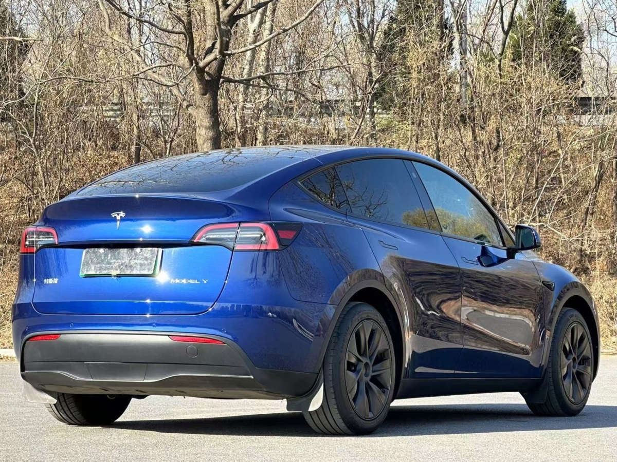 特斯拉 Model Y 24款 標(biāo)準(zhǔn)續(xù)航 后輪驅(qū)動(dòng)版圖片