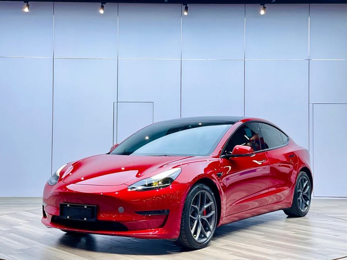 特斯拉 Model 3  2021款 Performance高性能全輪驅動版 3D6圖片