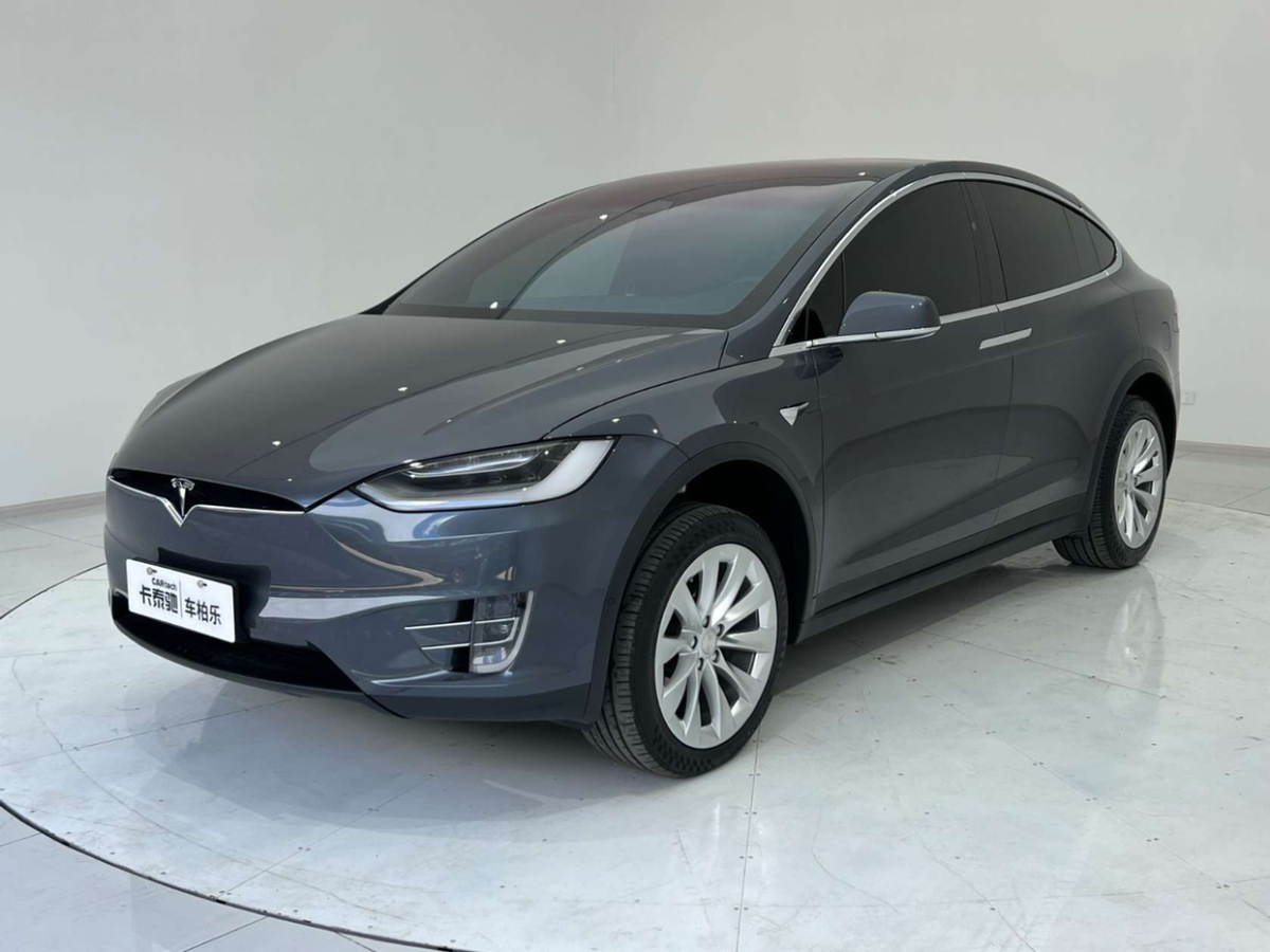 特斯拉 Model X  2020款 长续航升级版图片