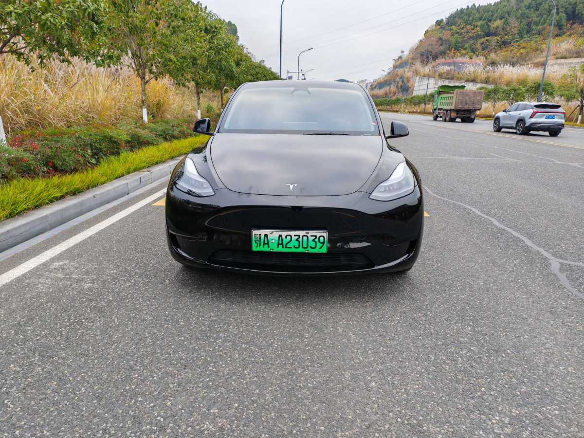 特斯拉 Model 3  2020款 改款 長續(xù)航后輪驅(qū)動版圖片