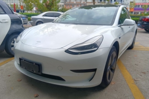 Model 3 特斯拉 标准续航后驱升级版