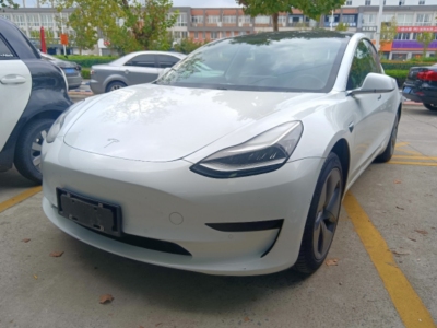 2020年5月 特斯拉 Model 3 標(biāo)準(zhǔn)續(xù)航后驅(qū)升級(jí)版圖片