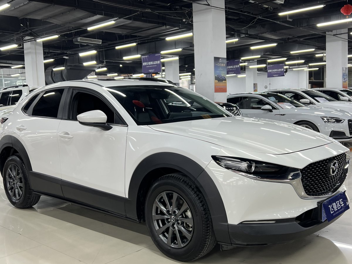 馬自達 CX-30  2021款 2.0L 自動質悅型圖片