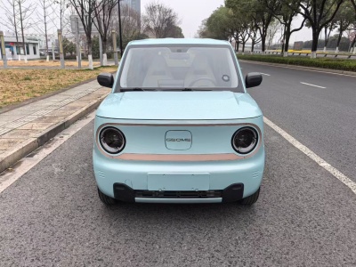 2024年1月 吉利 熊貓mini 200km 耐力熊圖片