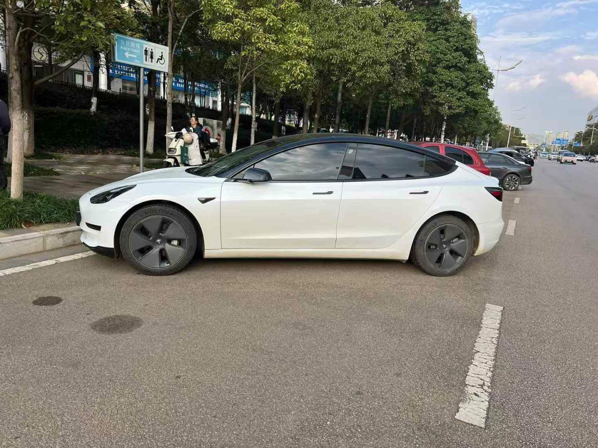 特斯拉 Model S  2023款 三電機全輪驅(qū)動 Plaid版圖片