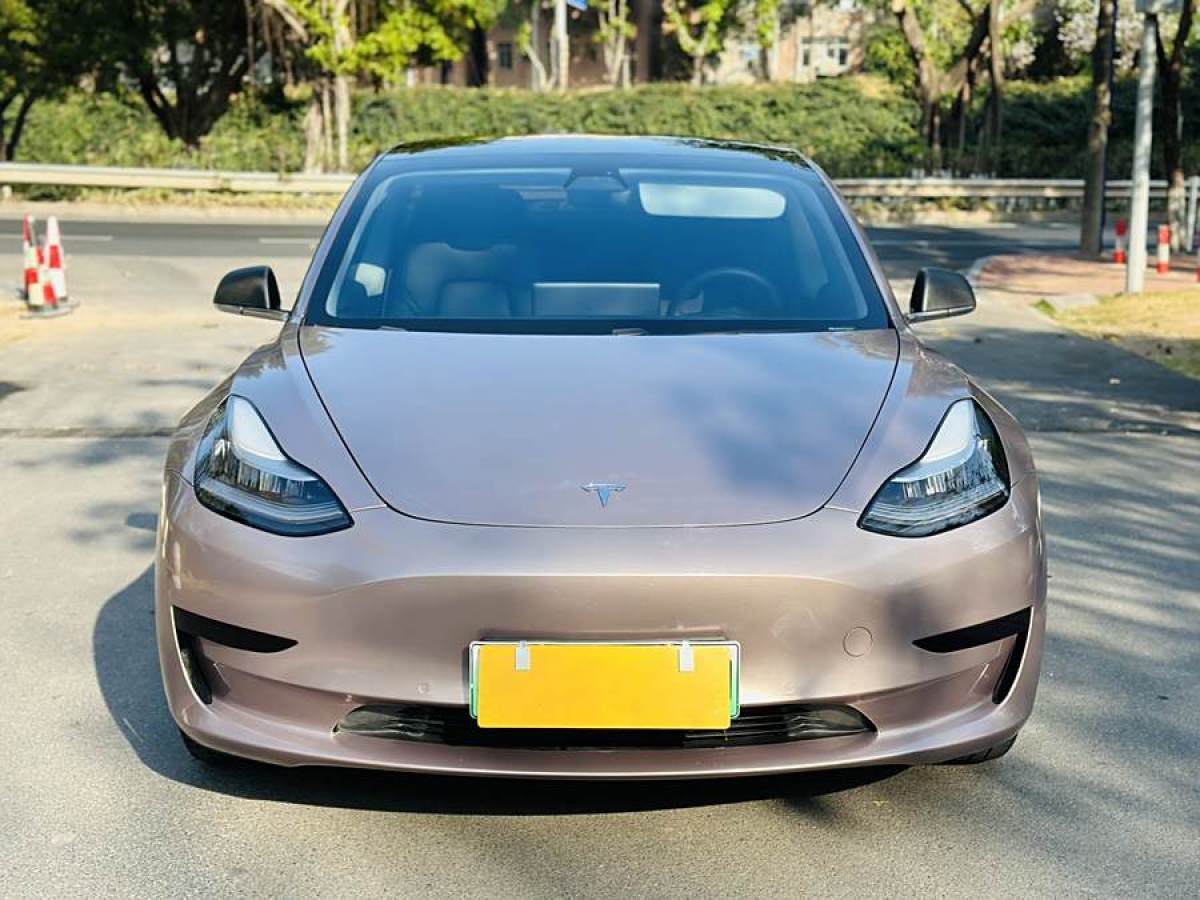 特斯拉 Model 3  2019款 標(biāo)準(zhǔn)續(xù)航后驅(qū)升級(jí)版圖片