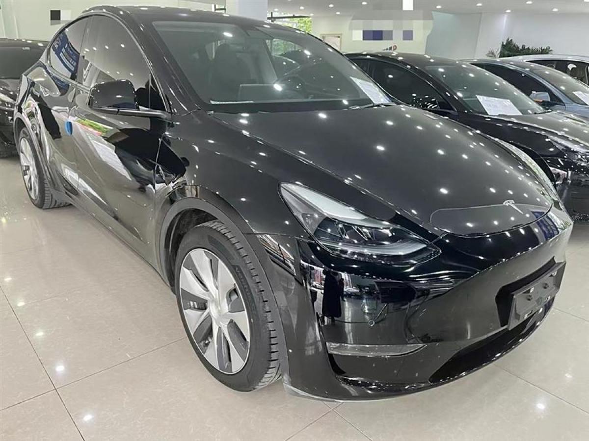 特斯拉 Model Y  2021款 改款 標(biāo)準(zhǔn)續(xù)航后驅(qū)升級(jí)版圖片