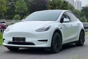 Model Y 特斯拉 后轮驱动版