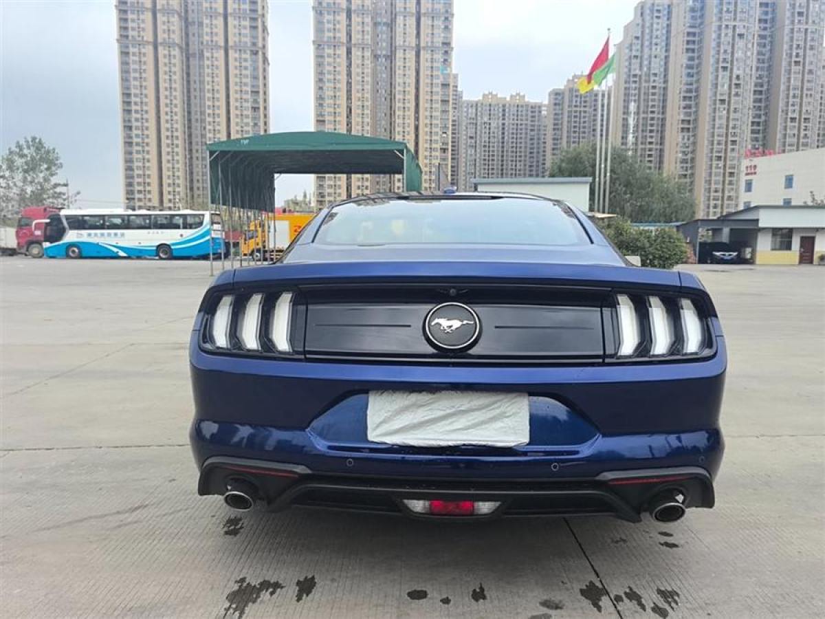 福特 Mustang  2019款 2.3L EcoBoost圖片