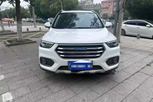 H6 哈弗 紅標(biāo)H6 COUPE 1.5T DCT兩驅(qū)豪華型