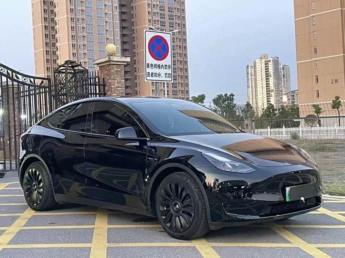 特斯拉 Model 3  2022款 后輪驅(qū)動版圖片