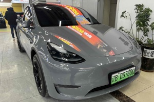 Model Y 特斯拉 长续航焕新版 双电机全轮驱动